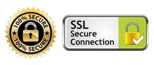 SSL-Secure-Connection
